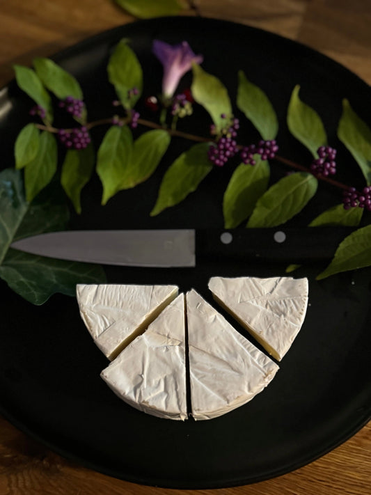 Beyond the Bloom: Unpacking the Wonderful World of Brie Cheese - Wedgely